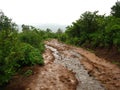 Muddy Village Road Royalty Free Stock Photo