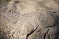 Muddy volcanos in Romania spilling mud