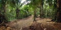 A muddy walk through the Amazon rainforest