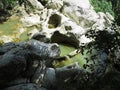 Muddy water in the depressions of a rocky gorge in a green grove