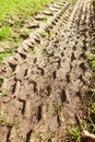 Muddy Wheel Track Royalty Free Stock Photo