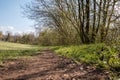 Muddy woodland path through the green countryside