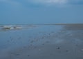 Mudflat along the Dutch coast at sunset