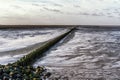 Mudflat along the Dutch coast