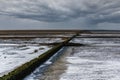 Mudflat along the Dutch coast