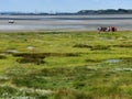 Mudflat hiking, Wangerooge, Germany