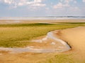 Mudflat at low tide draining into Slijkgat channel near nature reserve Kwade Hoek, Stellendam, Netherlands