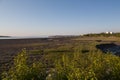 Mudflats in Anchorage