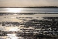 Mudflats at dusk with lens flare and far off coast at other side of bay with water birds wading through the shallows