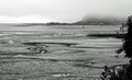 Mudflats at Low Tide on a Foggy Day in black and white Royalty Free Stock Photo