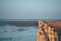 Mudflats at low tide in Friedrichskoog, Germany