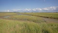 Mudflats  in Zwin nature reserve , with creeks and dunes . Knokke, Belgium Royalty Free Stock Photo