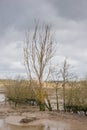 Mudflats Nature Reserve. Royalty Free Stock Photo