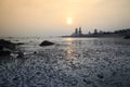 Mudflats at sunset