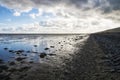 Mudflats in the Waddenzee at Texel, Netherlands