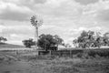 Windmill and stock pen bush and tree landscape day monochrome rural Australia Mudgee region New South Wales
