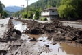 mudslide aftermath: sludge and debris on roadside