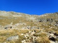 Mueller Hut trail Royalty Free Stock Photo