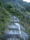 Mueller Hut trail Royalty Free Stock Photo