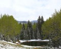 Mueller park, Colorado Royalty Free Stock Photo