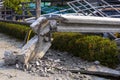 MUENG, CHIANGMAI THAILAND MARCH 2023, 18 : High voltage electricity post damage and falling down on house and cars due to severe