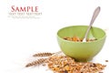 Muesli Royalty Free Stock Photo