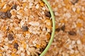 Muesli Royalty Free Stock Photo