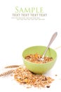 Muesli Royalty Free Stock Photo