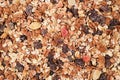 Muesli background texture. dried fruits Royalty Free Stock Photo