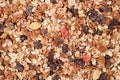 Muesli background texture. dried fruits