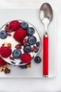 Muesli with berries from a top view