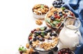 Muesli bowl and organic ingredients for healthy breakfast. Granola, nuts, blueberry, cranberry, oatmeal, greek yoghurt, whole