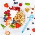 Muesli breakfast fruits yogurt strawberries cereals berries square bowl top view Royalty Free Stock Photo