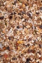 Muesli cereal with seeds, mixed fruit and nuts background Royalty Free Stock Photo