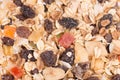 Muesli with dried fruits close up from above Royalty Free Stock Photo