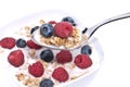 Muesli with fresh fruits on a spoon