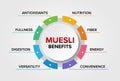 Muesli health benefits vector icons set infographic illustration background. Healthy Breakfast.