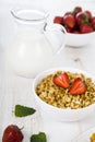 Muesli and a jug of milk for breakfast.Granola with strawberry Royalty Free Stock Photo