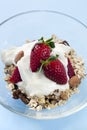 Muesli with Strawberries and Yoghurt Royalty Free Stock Photo