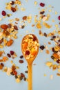Muesli on a wooden spoon Royalty Free Stock Photo