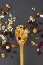 Muesli on a wooden spoon Royalty Free Stock Photo
