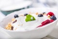 Muesli yoghurt and berries. Healthy breakfast with yogurt granola and fresh fruit Royalty Free Stock Photo