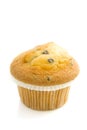 Muffin Royalty Free Stock Photo