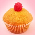 Muffin Royalty Free Stock Photo