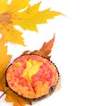 Muffin on autumn maple leaf isolated on white. Free space for text Royalty Free Stock Photo