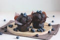 muffin and blueberries. sweet cake and berries.