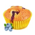 Muffin with blueberry isolated on white background Royalty Free Stock Photo