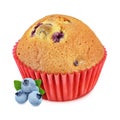 Muffin with blueberry isolated on white background Royalty Free Stock Photo