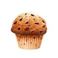 Muffin with blueberry isolated on white background Royalty Free Stock Photo