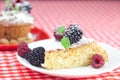 Muffin , cake with icing and berries Royalty Free Stock Photo